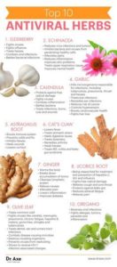 Top Ten Antiviral Herbs