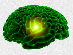 Green_Brain_Pineal_Gland