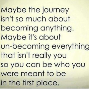 Maybe The Journey...