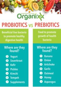 Probiotics_And_Prebiotics