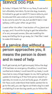 Service Dog PSA