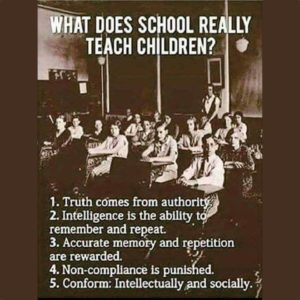 What Does School Teach Children?