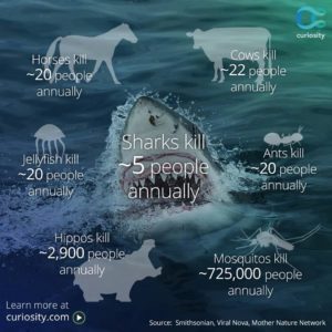 Annual_Deaths_From_Sharks