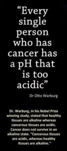 Dr Otto Warburg Quote On Cancer