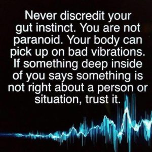 Trust Your Instincts