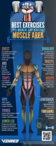 Exercises For Muscles