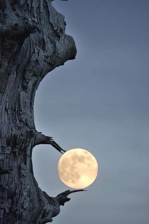 Brilliant Moon Shot!