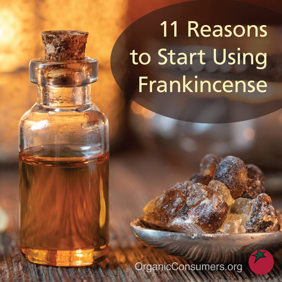 Frankincense