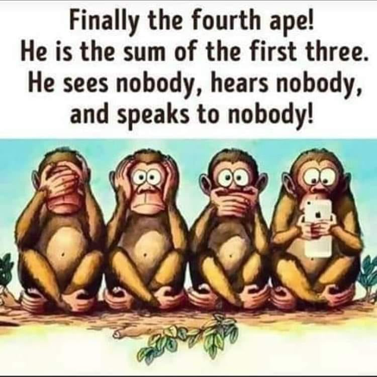 The Fourth Monkey