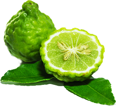 Bergamot