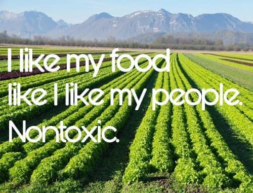 I Like My Food And People Non-Toxic