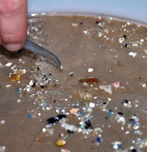 Microplastics In Salt