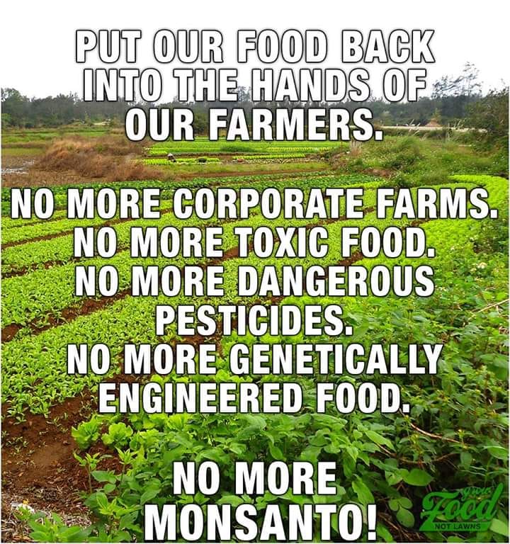 No More Monsanto