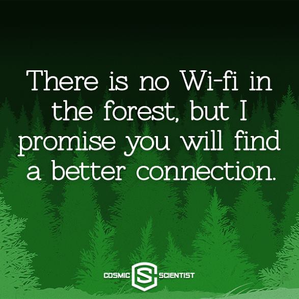 No WiFi In The Forest