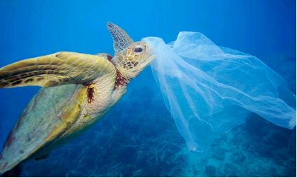 Plastic Pollution