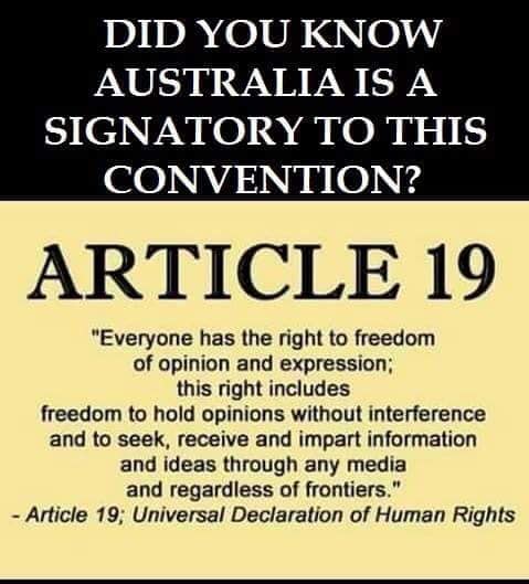 Article 19 UDHR 