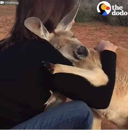 Genuine Aussie Cuddle