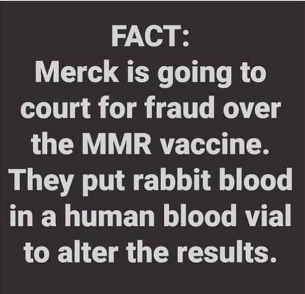 Merck MMR Fraud