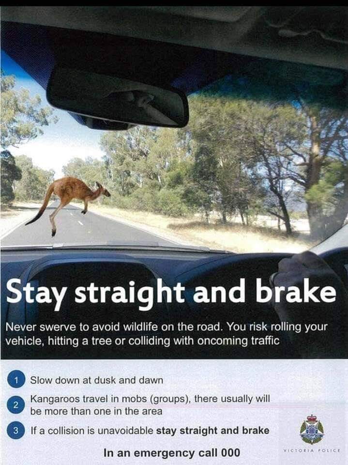 Stay Straight And Brake