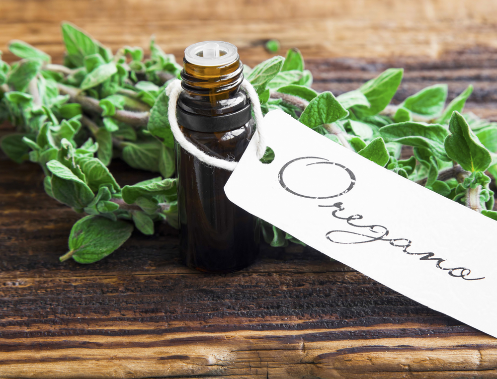 Oregano Oil