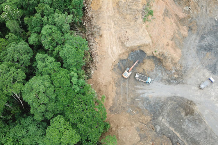 Amazon Deforestation