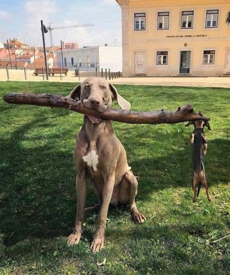 Branch Manager