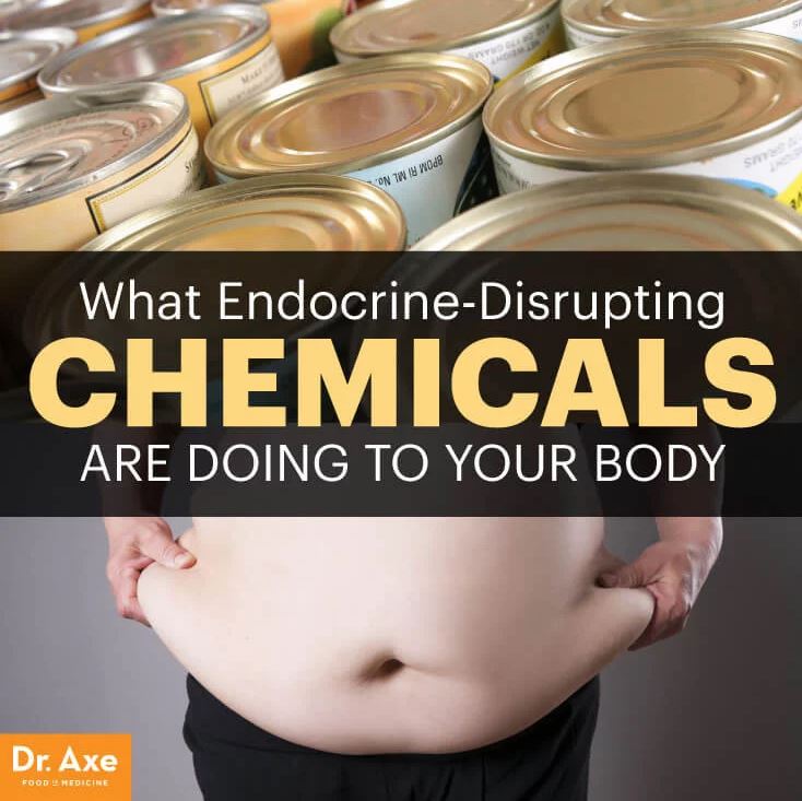 Endocrine_Disruptors