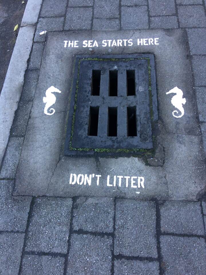 The Sea Starts Here