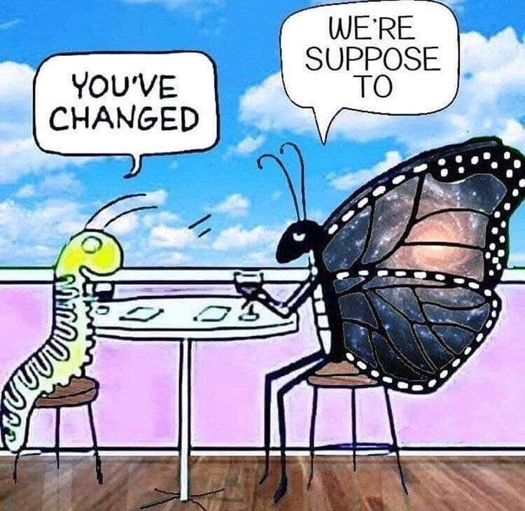 You Have Changed