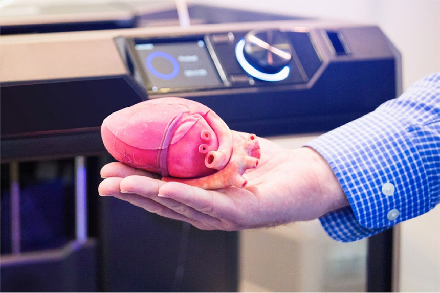 3D Printed Heart