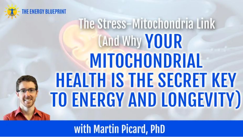 Why Your Mitochondrial Health Is The Secret Key To Energy And Longevity