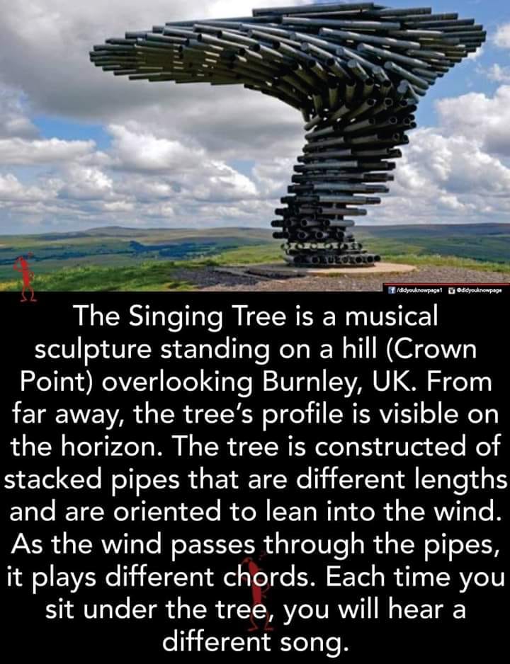 The Singing Tree