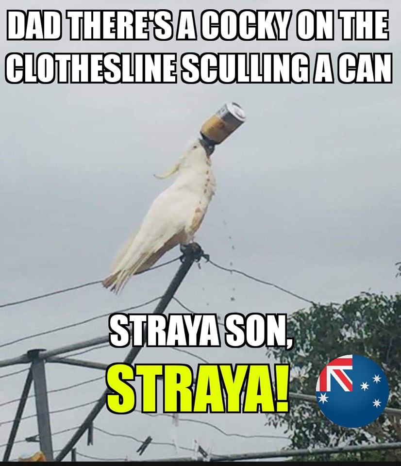 Cocky Sculling A Can