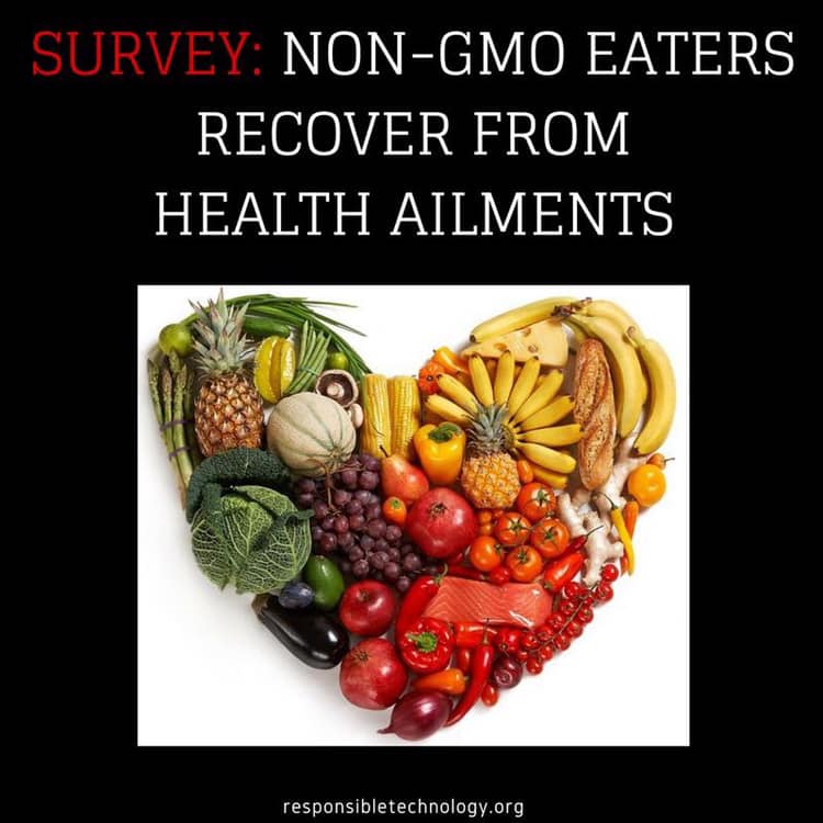 Going GMO Free Restores Health