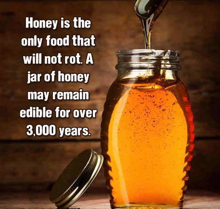 Honey Will Not Rot