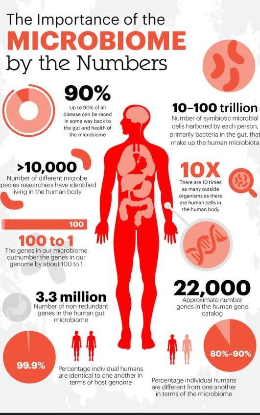 Microbiome By The Numbers