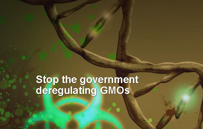 Stop the government deregulating GMOs