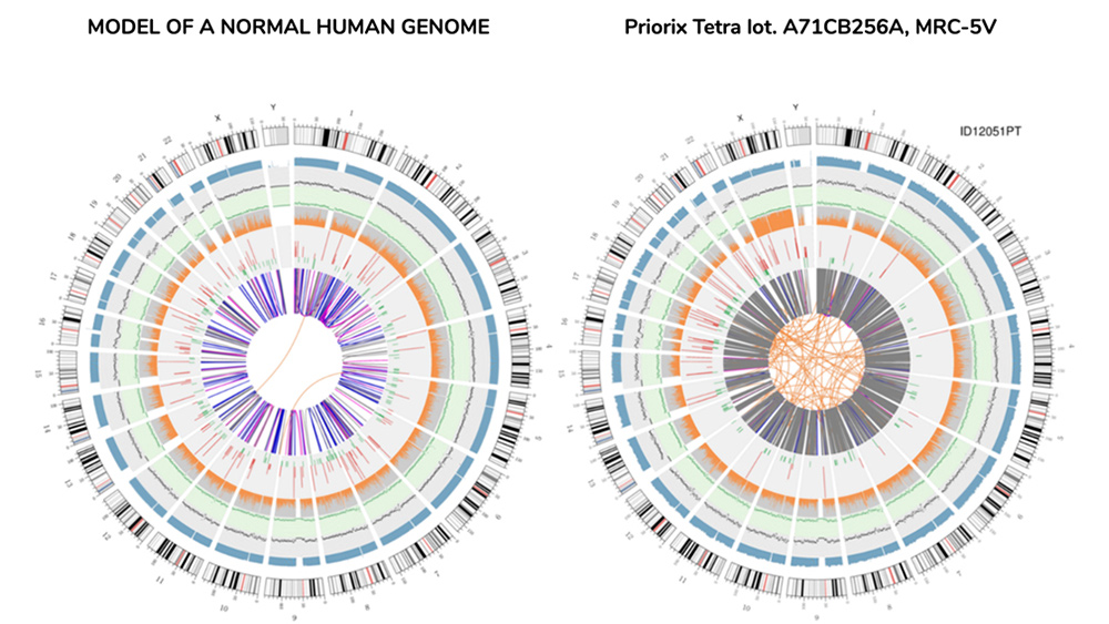 human-genome-sequencing-vaccines-mrc-5