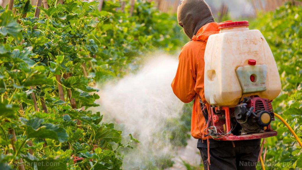 Man-Spraying-Pesticides-Crops-Farm