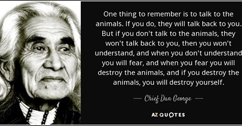 Talk To The Animals