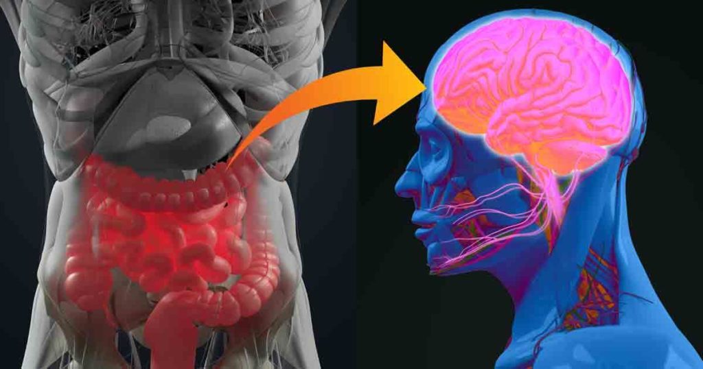 Gut Brain Connection