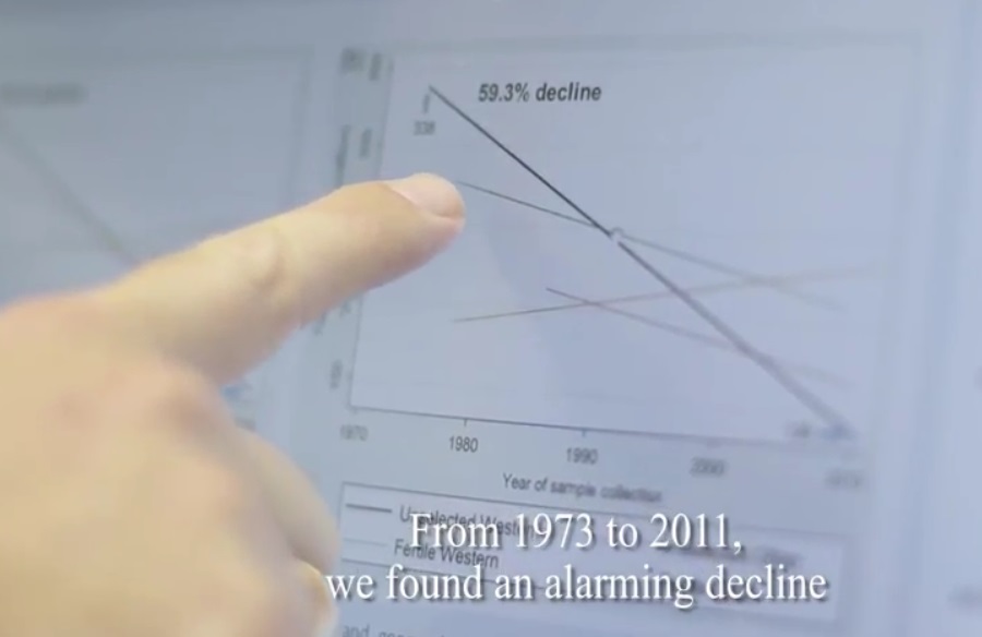 Sperm-count-decline-depopulation