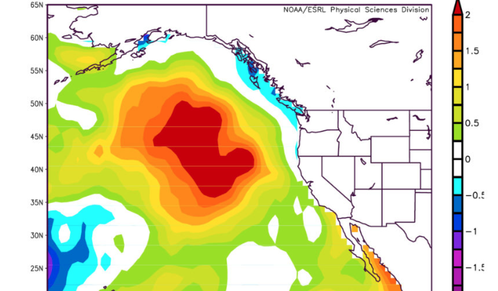 The East Pacific Hot Spot Blob