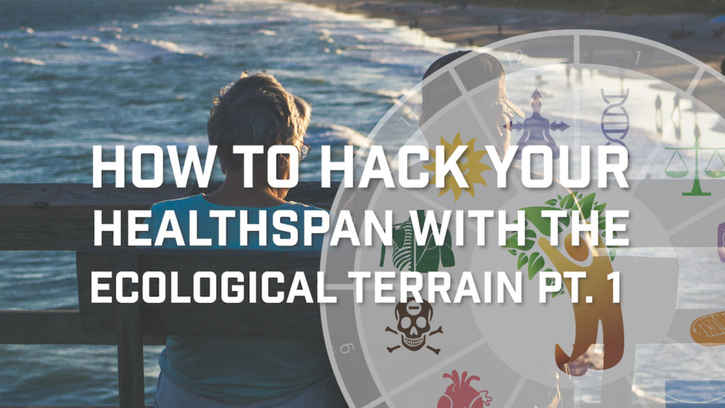 How To Hack Your Healthspan