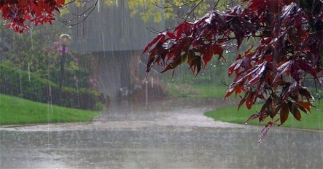 Smell Of Rain Reduces Stress