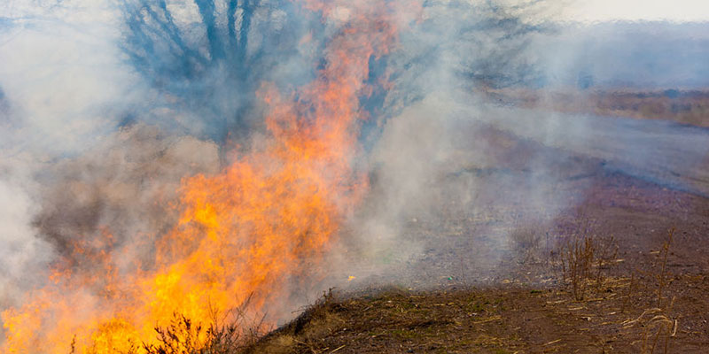 wildfires-linked-to-groundwater-depletion