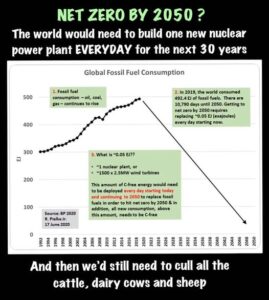 Net Zero By 2050