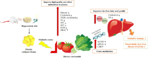 Fatty Liver Disease Antioxidants