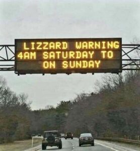 Now You Got Lizzards Up North?