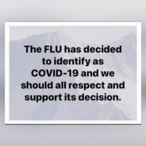 Flu Identifies As SARS-Cov-2